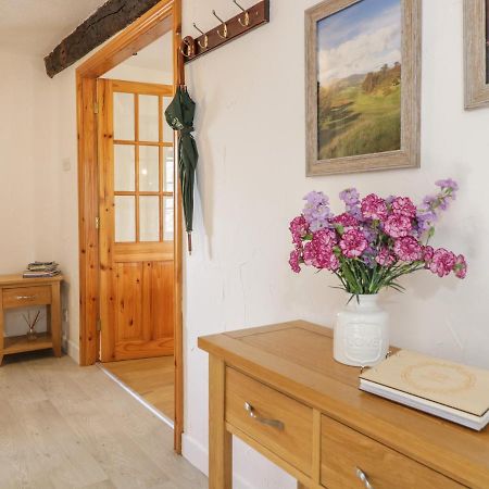 Cyffdy Cottage - Tegid 巴拉 外观 照片