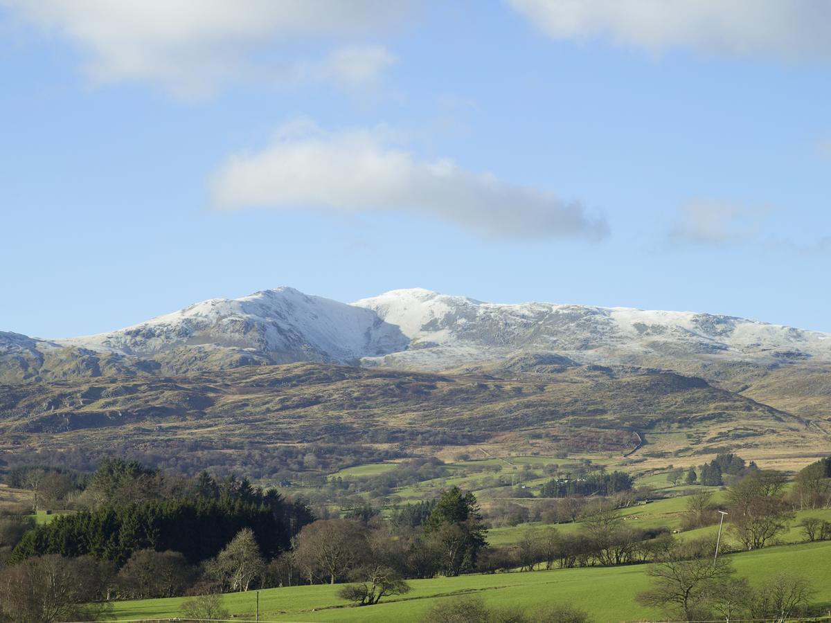 Cyffdy Cottage - Tegid 巴拉 外观 照片